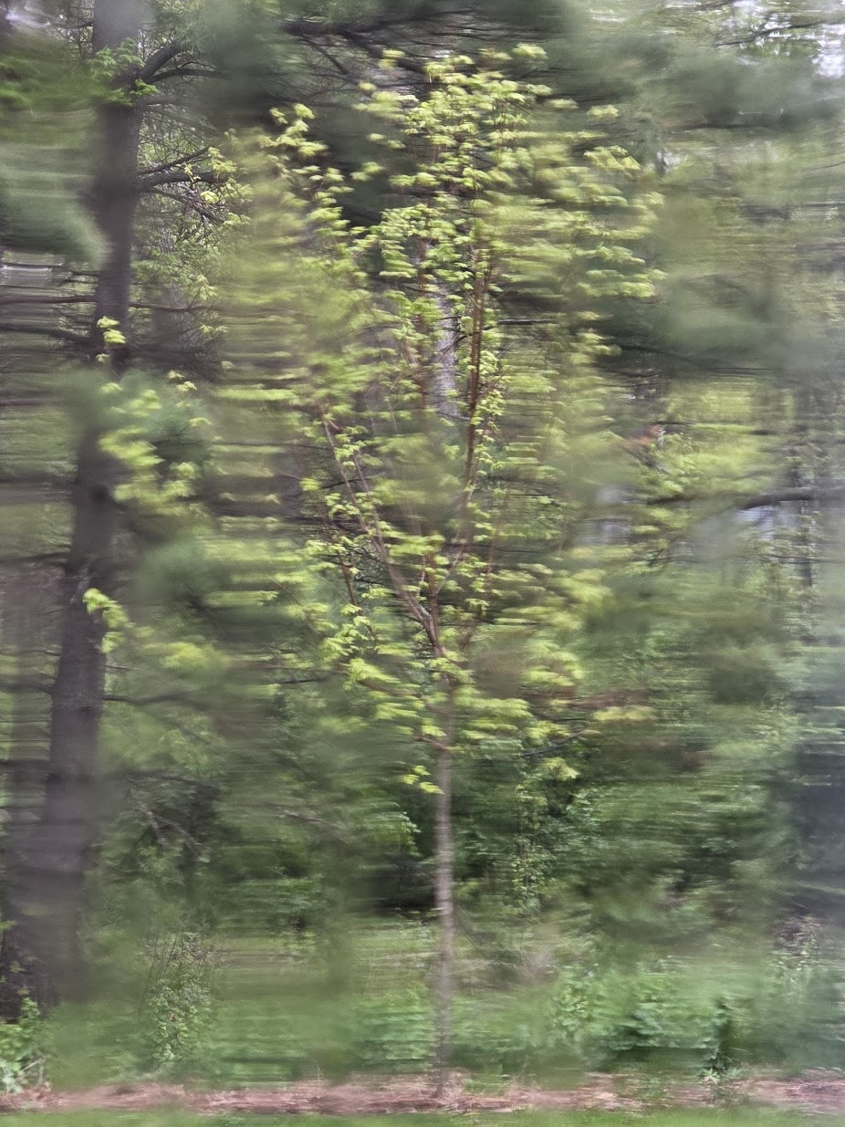 6.24 blog image