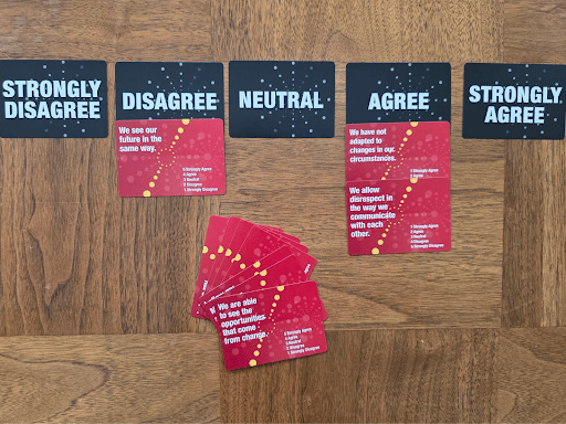 Showcase of "Person in Environment" Cards